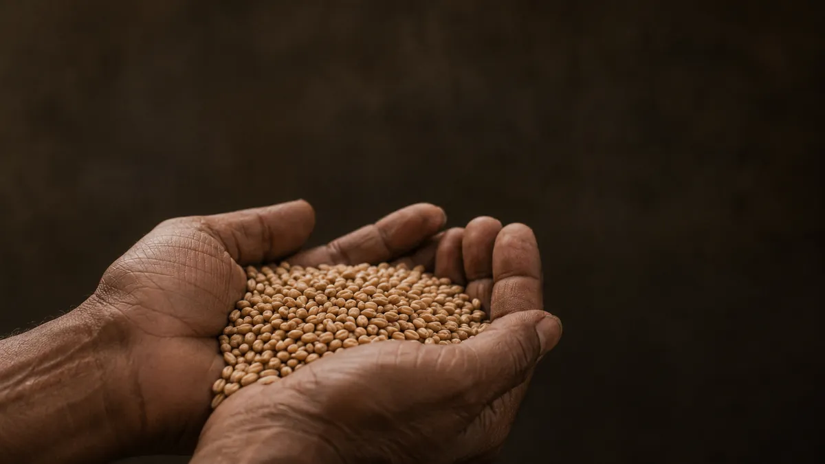 Two open hands offering grain.